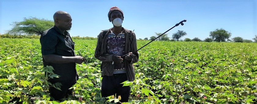 Mkaguzi Wa Pamba (W) Igunga Ndg. Venance Kankutebe Kutoka Bodi Ya Pamba Tanzania Akimpatia Elimu Ya Matumizi Sahihi Ya Kinyunyizi Mkulima Bw. Shija Mandalu Wa Kijiji Cha Ibutamisuzi Wilayani Igunga Mkoani Tabora Alipomtembelea Shambani Kwake Hivi Karibuni